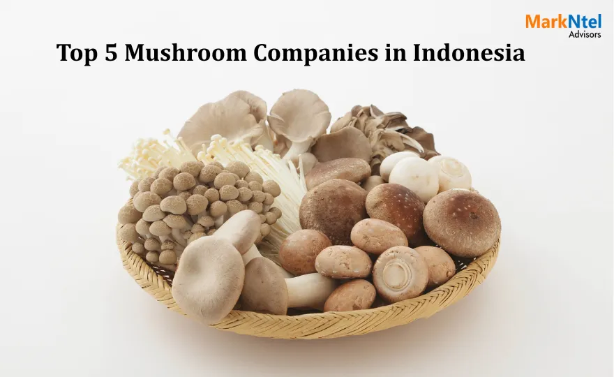 Indonesia Mushroom Market 